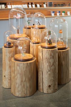 several wooden tables with glass domes on them