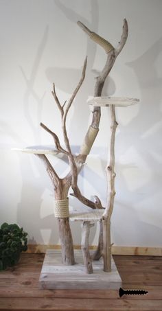 Cat Tree - Snuggle up to Amazon.com - You could buy everything you need there. Click to visit immediately!