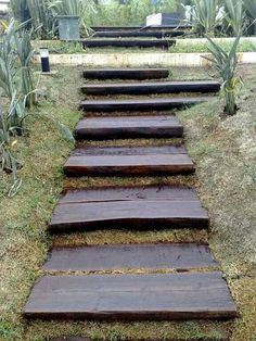 a set of wooden steps in the grass