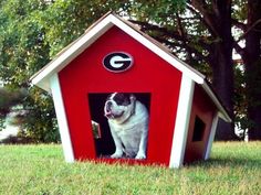 a dog in a red and white dog house with the letter g on it's side