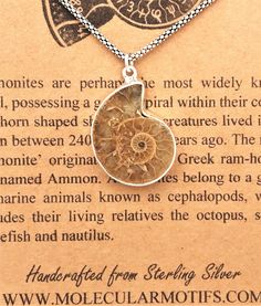 This beautiful Ammonite fossil is bezeled in sterling silver and comes on an adjustable sterling silver chain in the length of your choice. The bezel is snug to fit the natural shape of the fossil. This pendant is one-of-a-kind and you will receive the exact pendant pictured. Comes on a complimentary sterling silver link chain, or upgrade to a beautiful sterling silver popcorn chain (pictured). Comes gift packaged with a fact card on the Ammonite fossil along with a velvet jewelry pouch for safe Golden Ratio In Nature, Golden Spiral, Silver Link Chain, Ammonite Fossil, Science Gifts, Art Carte, Velvet Jewelry, Themed Jewelry, Sterling Silver Necklace Pendants