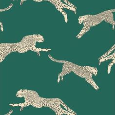 a green background with cheetah and leopards in the same pattern on it