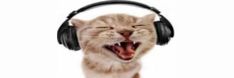 a cat with its mouth open and headphones on it's ears is singing