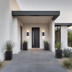 the entrance to a modern home with potted plants on either side and black doors