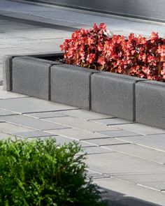 a planter filled with red flowers sitting on top of a sidewalk