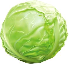 a green cabbage is shown on a white background with clippings to the side