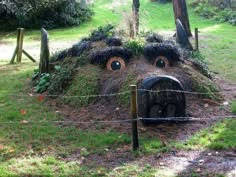 a face made out of grass in the middle of a field