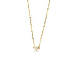 Mini Star Necklace Details: 14K Gold Plating 925 Sterling Silver 16' to 18' Faux Stone Star Necklace Gold, Faux Stone, Star Necklace, Gold Plating, Arrow Necklace, Gold Necklace, Gold Plate, Jewelry Necklaces, 925 Sterling Silver