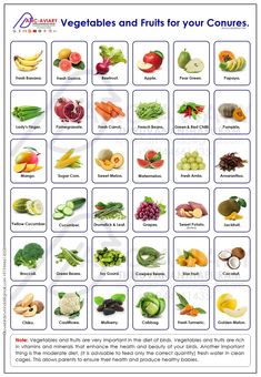 an image of vegetables and fruits for your conurees poster, with the words'veggies and fruits for your conures '