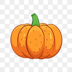 an orange pumpkin on a transparent background