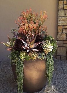 a large planter filled with lots of different types of plants