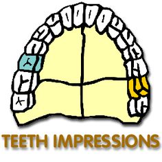 the words teeth impressions are written in orange and blue