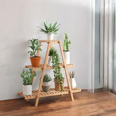 there are many potted plants on the shelf next to each other in this room