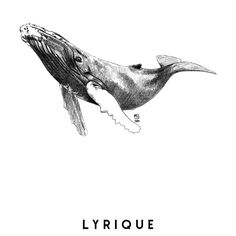 a drawing of a humpback whale with the words lyrique on it