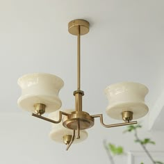 a chandelier hanging from the ceiling with three lights on each side and a potted plant in the background