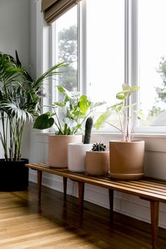 three potted plants are sitting on a wooden bench in front of a large window