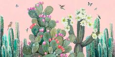 a painting of flowers and cacti on a pink background