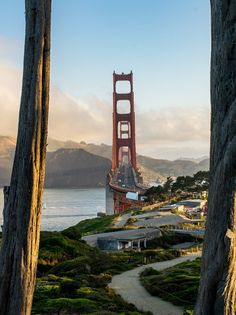 the golden gate bridge in san francisco, california is seen through some tree's