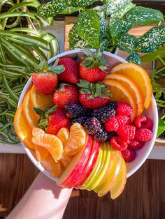 a person holding a bowl filled with sliced up fruit and veggies on top of each other