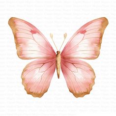 a watercolor painting of a pink butterfly