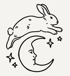 a rabbit sleeping on the moon with stars