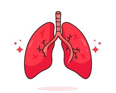 the lungs are red and there is no one in them, but they can be seen