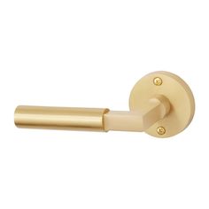 an image of a gold toilet roll holder