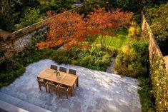 Privacy and garden screening in an urban garden by Studio Cullis Tattoo Plant, Block Of Flats, Garden Screening, London Garden, Garden Architecture, Family Garden, City Garden, Deciduous Trees, South London