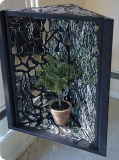 a small potted plant sitting inside of a black box with mirrors on the sides