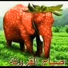 two red elephants standing next to each other on a lush green field