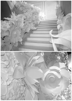 black and white photographs of flowers on stairs