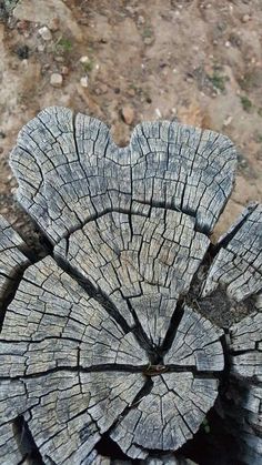 a piece of wood that has been cut in half and is sitting on the ground