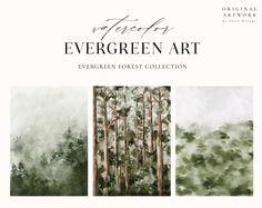 watercolor evergreen art is featured in this book