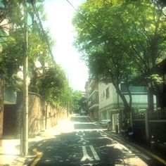 an empty street with trees and buildings on both sides