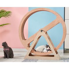 two cats sitting in front of a wooden spinning wheel with one cat on the floor