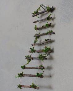 several branches are arranged in the shape of a ladder with green plants growing from them