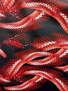 "New snake reptile print Red  snake print fabric sold by yard Poly spandex fabric  4 way stretch  Medium  weight  Uses: leggings, Swimsuits, dancewear, gymnastics, dresses and more 90% poly 10% spandex 60\" wide fabric" Snake Skin Decor, Texas Snakes, Red Garter, Garter Snake, Python Snake, Reptile Snakes, Snake Patterns, Red Tie, 4 Way Stretch Fabric