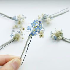 Forget Me Not Flower Hair Pin Bridal Hair Flowers Pin Dried | Etsy Flower Hair Pins Wedding, Hair Pins Wedding, Flower Hair Pins, Floral Hair Pins, Forget Me Not Flower, Prom Flowers, Hair Flowers, Bridal Hair Flowers, Wedding Hair Inspiration