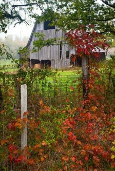 an old barn is surrounded by trees and foliage