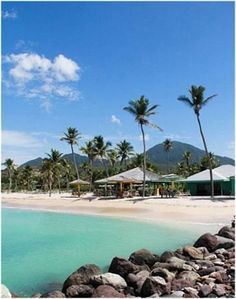 a beach with rocks and palm trees in the background