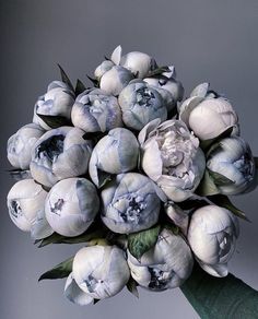 a bouquet of white tulips with green leaves