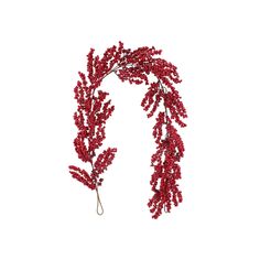 red berries are hanging from a branch on a white background