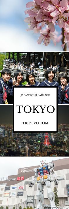 Tokyo is one of those cities that once you have visited it you don't want to leave it. Five days of touring and exploring the city with a guide is all you need to know Tokyo's culture that is addictive and the memories you'll earn are priceless.  Packages start at RM 1,281.61 ($293.27 as of 11/18/15)