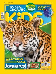 Nº 6 Spotted Cat, Science Projects For Kids, Engage Kids, Afterschool Activities