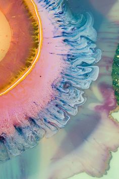 an aerial view of the inside of a jellyfish