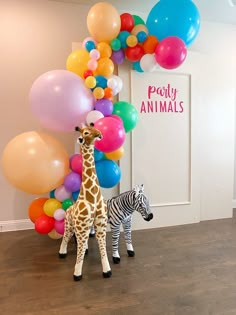 two giraffes and a zebra are standing in front of balloons on the wall