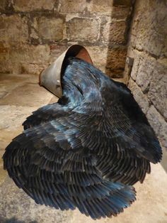 a large bird laying on top of a stone floor next to a brick wall with its wings spread out