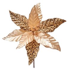 PRICES MAY VARY. Package Include : The package contains 8 pieces Christmas leopard print poinsettia flowers. The diameter of flower head approx 11inch / 28cm.These gold poinsettias flower are suitable for decorating Christmas trees, bring a strong festive atmosphere for your family. High Quality Material:Artificial gold Christmas flower picks are made of fabric + plastic.Faux poinsettia flowers will remain glittery and beautiful throughout the holiday season and can be reused each year to create Animal Print Christmas Tree, Cheetah Print Christmas Tree, Cheetah Christmas Tree, Cheetah Print Christmas, Christmas Leopard Print, Cheetah Christmas, Leopard Print Christmas, Christmas Tree Flowers, Decorating Christmas Trees