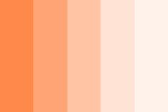 an orange and pink color palette