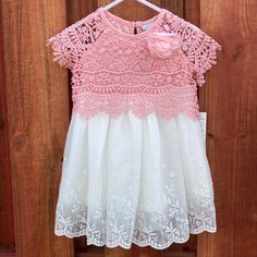 Nicole Miller Kids Dress Size 12m Nwt Nicole Miller, Kids' Dresses, Kids Dress, Pink White, Dresser, Kids Shop, Sewing, Pink, Dresses